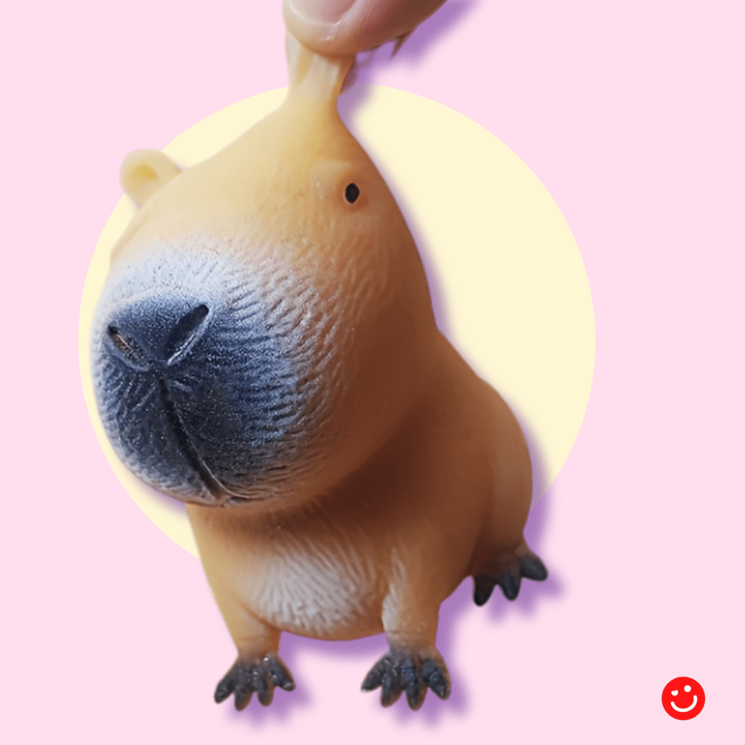 ChonkyBara Stress Squeezy Sensory Toy