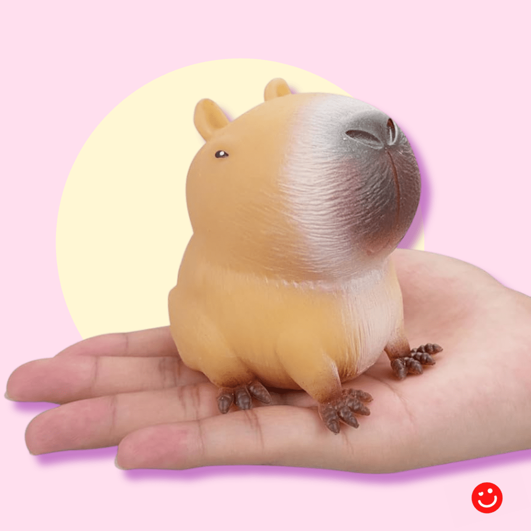 ChonkyBara Stress Squeezy Sensory Toy