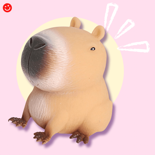 ChonkyBara Stress Squeezy Sensory Toy